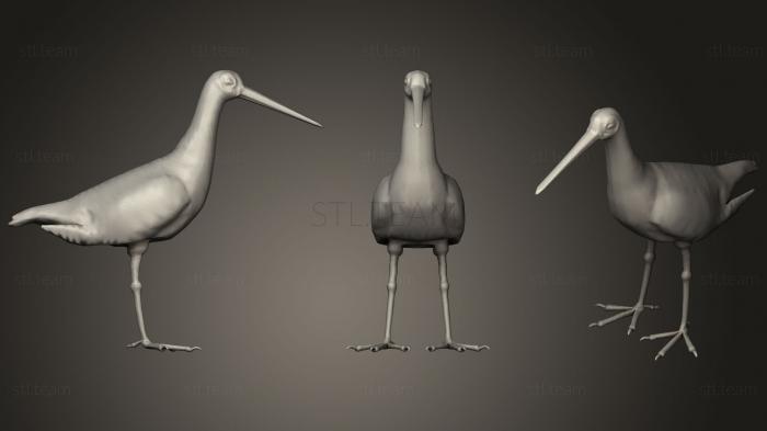 3D model Black tailed Godwit (STL)